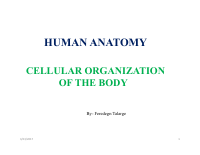Cell (1).pdf